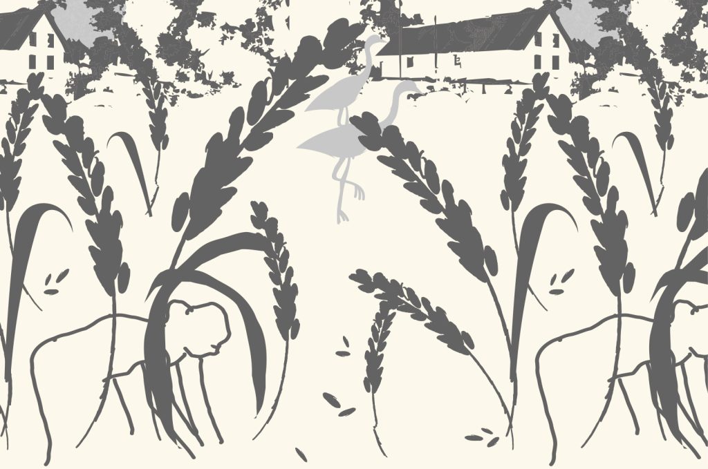 Pattern collection Wheat Fields hero print, colorway 1