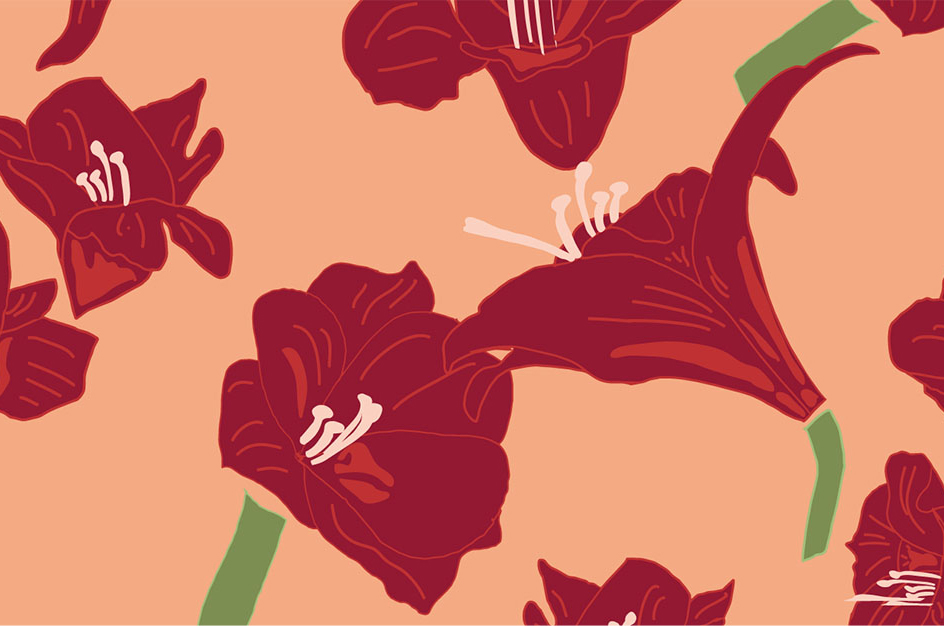 Pattern collection Amaryllis in Wintertime